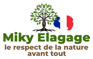 Elagage-miky-elagage-
