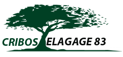 elagage-cribos-elagage