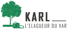 elagage-karl-l-elagueur-du-var
